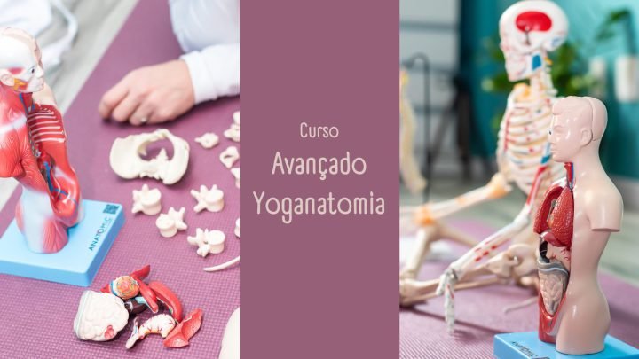 Yoga Anatomia Avançado